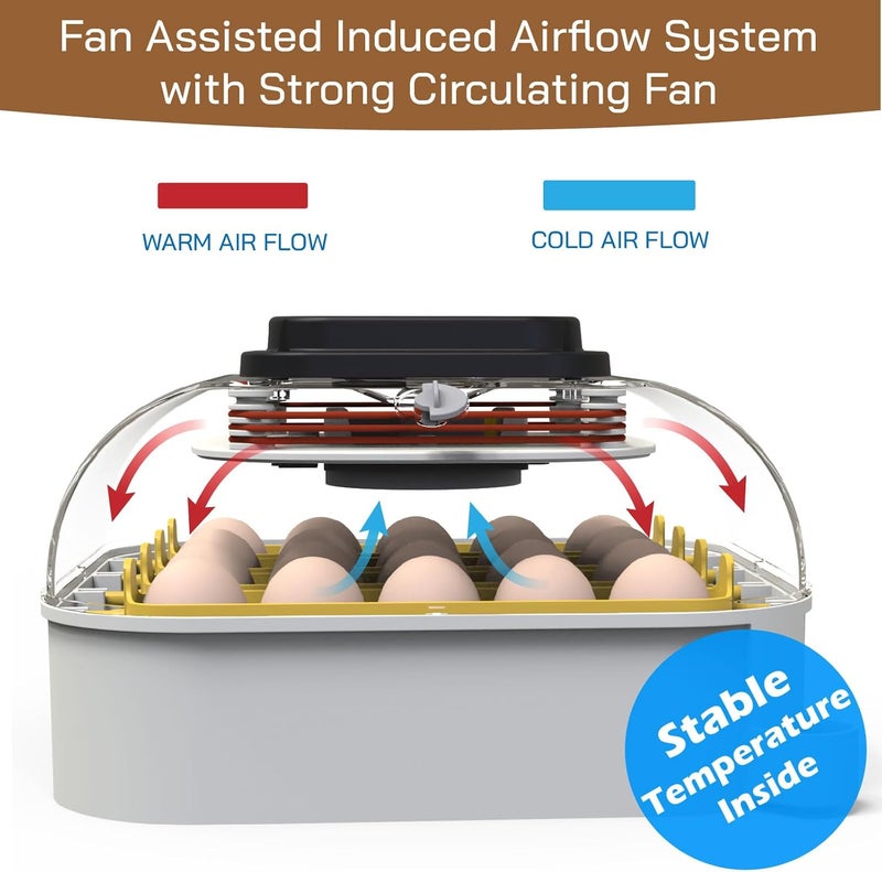 MATICOOPX 20 Egg Incubator with Humidity Display, Egg Candler, Automatic Egg Turner, for Hatching Chickens - Image 2
